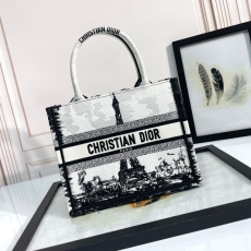 Christian Dior Shopping Bags